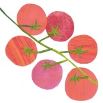 TOMATO에 있는 sunzoo Lim님의 핀
