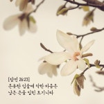 온유한 입술에 악한 마음은 낮은 은을 입힌 토기니라 (잠언26장23절) in 2021 | Place card holders, Place cards, Cards