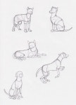 Sketch #dog #by #Seadre.deviantart… #on #@deviantART | 강아지 그림 그리기, 개 그리는 법, 강아지 그림