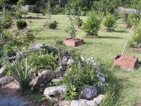 My  garden  나의정원에 있는 ok hwa jang님의 핀