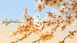 이제는 향수냄새 보다 꽃 향기가 진해지는 계절이 왔네요🌸 - YouTube in 2022 | Spring equinox, Sky photos, Flower images