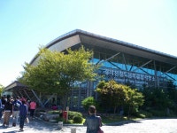 Demilitarized Zone (DMZ) | 여행, 한국
