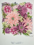 Floribunda - Leila Duly | 색연필