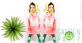 2015 Apr. bebedepino bebe de pino 베베드피노