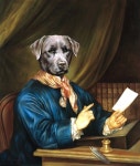 Dog Portraits by Thierry Poncelet | 팝아트, 예술
