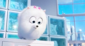 The Secret Life Of Pets ⁂〜에 있는 ▵▴┆Demonia┆▴▵님의 핀
