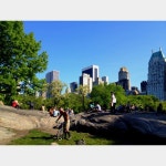 집에서 센트럴파크까지 빠른걸음으로 20분 정도 걸리는데 그냥 매일 갑니다. 맨날 늦게 일어나서 관광객들 비집고 헤집고 가는데 이제는... 