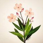 오늘 수채화 :) #보태니컬아트 #수채화 #꽃 #힐링 #취미 #화실... daily #art#botanical #watercolor #artwork… | 수채화, 꽃그림, 그리기 아이디어