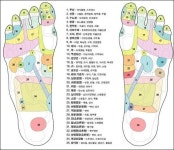 손지압표 발지압표로 건강 챙기세요! | Health, beauty, Health, Health fitness:__cat__