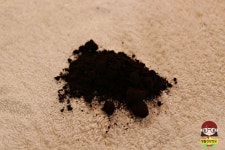 한 번 쓰면 중독된다는 커피찌꺼기 활용 꿀팁 BEST 10 | Fur slides