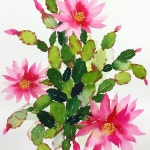 아름다운 수채화를 더 아름답게 그리고 싶다. . . . .… | Plants, Artist, Garden