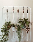 Color Block Plant Hangers | 텃밭, 마크라메, 화분