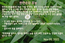 원예에 있는 21ship님의 핀 - 2022 | 원예