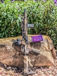 AR-15에 있는 필리아님의 핀