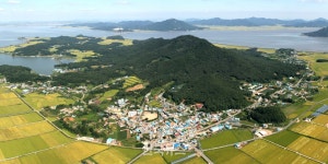 인천강화 교동도에 ‘화개산 지방정원 조성’ 추진 | 관광, 역사, 분재