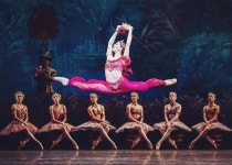 Ballet에 있는 유진 김님의 핀