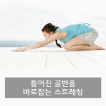 요리살림님의 스토리 | 건강 운동, 10분 운동, 요가 포즈