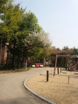 경기도 일산동구 정발산동  4월의 사제공원