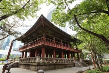 정자, 나무, traditional, 전통적임, Korea, Korean, free image, free picture, free photo, 무료이미지, 무료 사진 | 사진, 배경, 정자