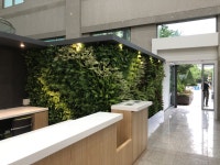 동대문구청, 벽면녹화, 수직정원, 그린월, 바이오월, 창조원 주식회사 - 2020 | 수직정원