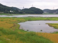 군포시 8절경의 한 곳인 반월저수지