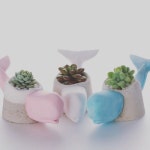 #커피찌꺼기 #다육이 #원두 #고래 #고래화분 #카페 삼과이분의일 #3.5 by and_pot_...  #커피찌꺼기 #다육이 #원두 #고래... 