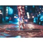 ballet에 있는 Rea님의 핀 | 발레