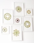 Épinglé par 전선아 sur 압화 | Fleurs séchées, Fleurs pressées, Tableau fleurs