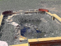 Pin by Raymond Heaney on 테라리움 in 2020