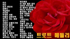운전할때 듣는 트로트 메들리 - 흥겨운 트로트 메들리 음악 30곡