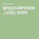 설이(@CARPEDIEM_LV20) / 트위터 | 사진