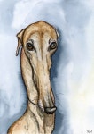 A Little Presumption  Greyhound Dog Art Print by AlmostAnAngel66, £12.00 | 동물