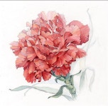 선희 오님이 보타니컬에 올린 그림 이미지 | 수채화, 꽃