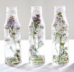 Captured florals | 드라이 플라워, 압화, 꽃병 장식