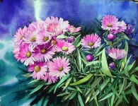 [꽃풍경수채화] 들꽃 - 수채화 과정 (아르쉬. Rough) | 수채화, 꽃 그리는 법, 수채화 꽃