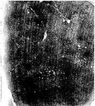 t217-HIU-B-tak-김승아-49