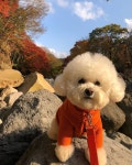 #봄봄투어 ... | Funny animals, Animals, Teddy bear