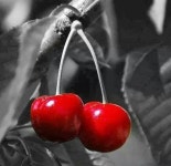 기타에 있는 m. ok님의 핀