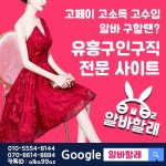 com/ #알바할래 #미소알바 #핑크잡 #루나알바 #캣알바 #팅알바 #나비알... 여우걸알바 #구미호알바 #룸싸롱 #고소득알… | 호박, 시크릿, 퀸 