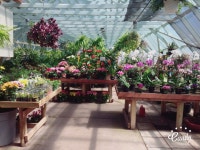 인테리어에 있는 이지언님의 핀 | 인테리어