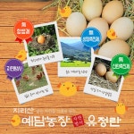 당일 낳은 예담농장 방사 유정란 (40알) | 건강한, 점심