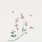 #야생화자수 #싸리꽃 #꿈소 #꿈을짓는바느질공작소 #embroidery #bushclover | 일본 자수, 자수 예술, 자수 도안