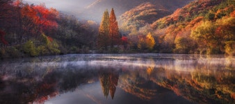 Foggy Morning - 송곡지의 아침 | Foggy morning, Reflection photography, Foggy