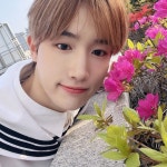 Pin by kiyomi🃏 on 템페스트 | Tempest, Icon