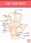 손발 지압 부위 총정리 | 지압, 건강, 운동 전 스트레칭