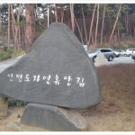 안면도자연휴양림(이미지 포함) | 여행