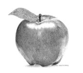 Pin de 이승연 en 스케치 | Dibujos de frutas, Lapices de colores dibujos, Manzanas dibujo
