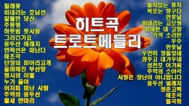 히트곡트로트메들리 - 환상의 트로트 신나는 관광버스 메들리