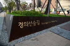 경의선 숲길의 세 가지 매력 | 도시, 공원, 가지