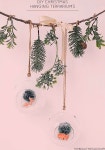 Idea by Raymond Heaney on 테라리움 | Hanging terrarium, Christmas diy, Diy